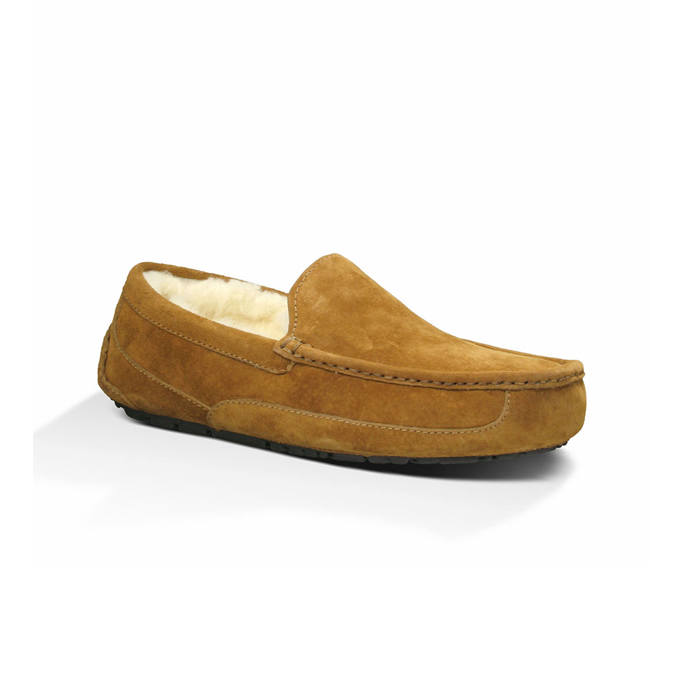 UGG MEN M ASCOT CHESTNUT 5775